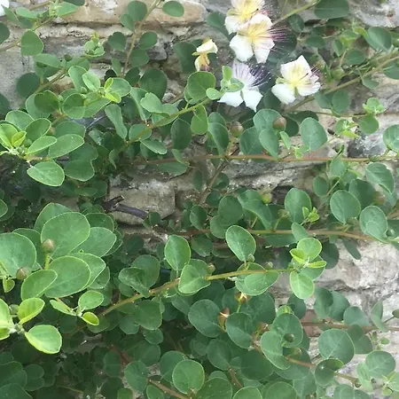 Station touristique Number 10 Belvedere Langhe