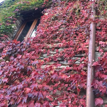 Number 10 4* Belvedere Langhe