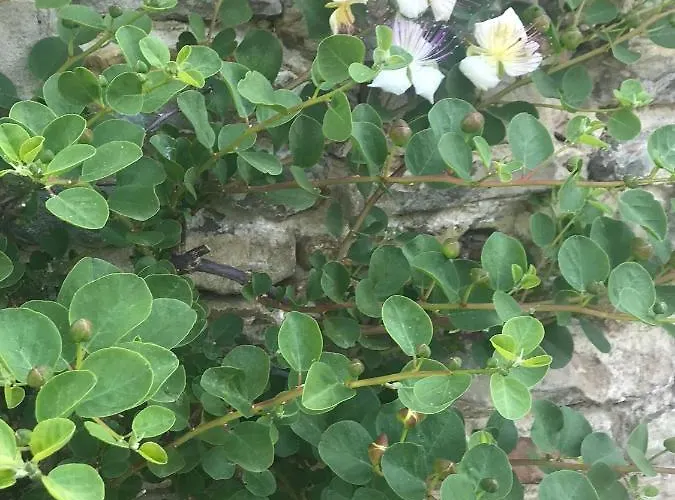 Resort Number 10 Belvedere Langhe